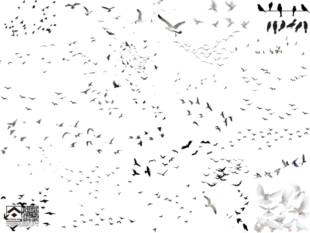 20241122182254141-image
