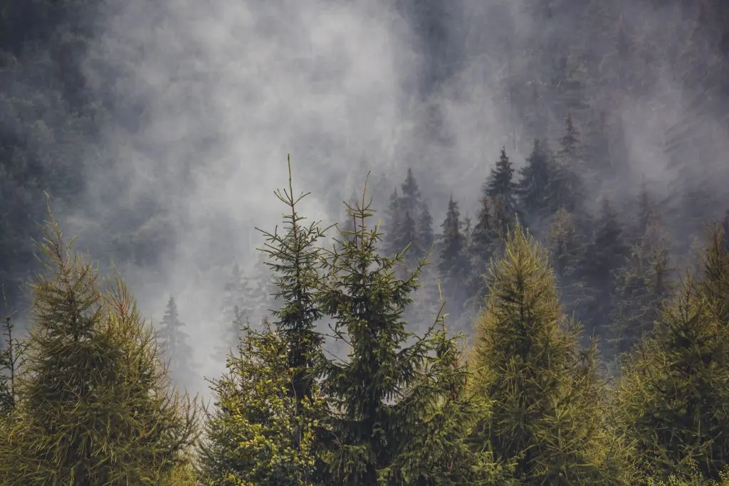 20251016132410747-Landscape (105)